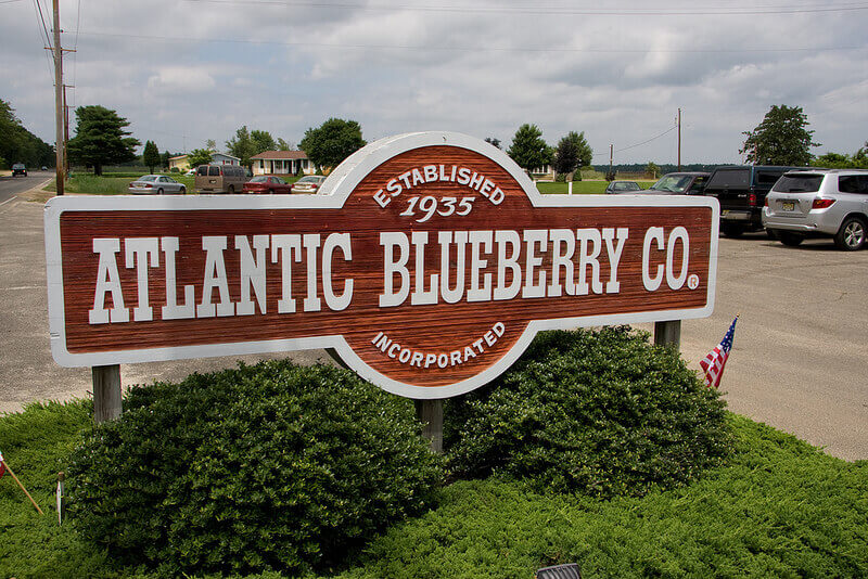 Atlantic Blueberry Company Farm Sign